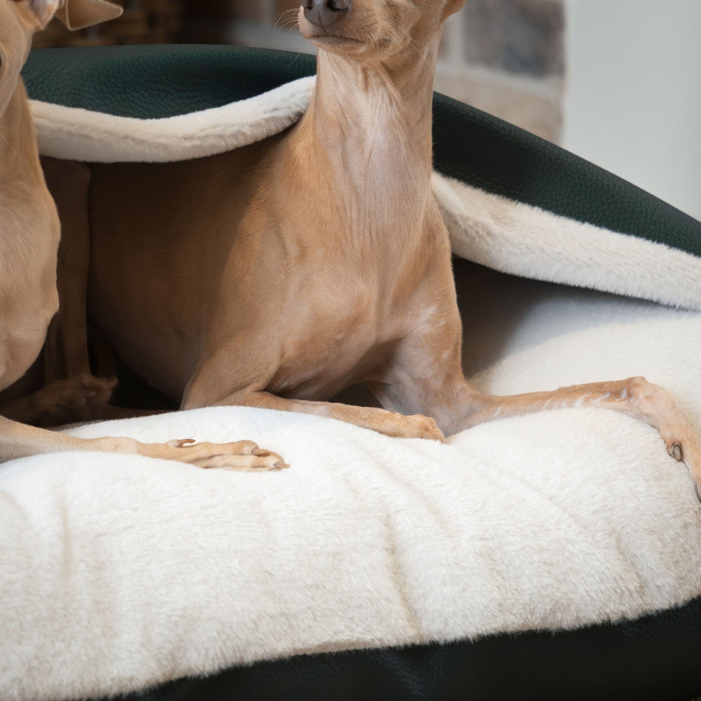 Discover The Perfect Burrow For Your Pet, Our Stunning Sleepy Burrow Dog Beds In Forest Rhino Faux Leather Is The Perfect Bed Choice For Your Pet, Available Now at Lords & Labradors 