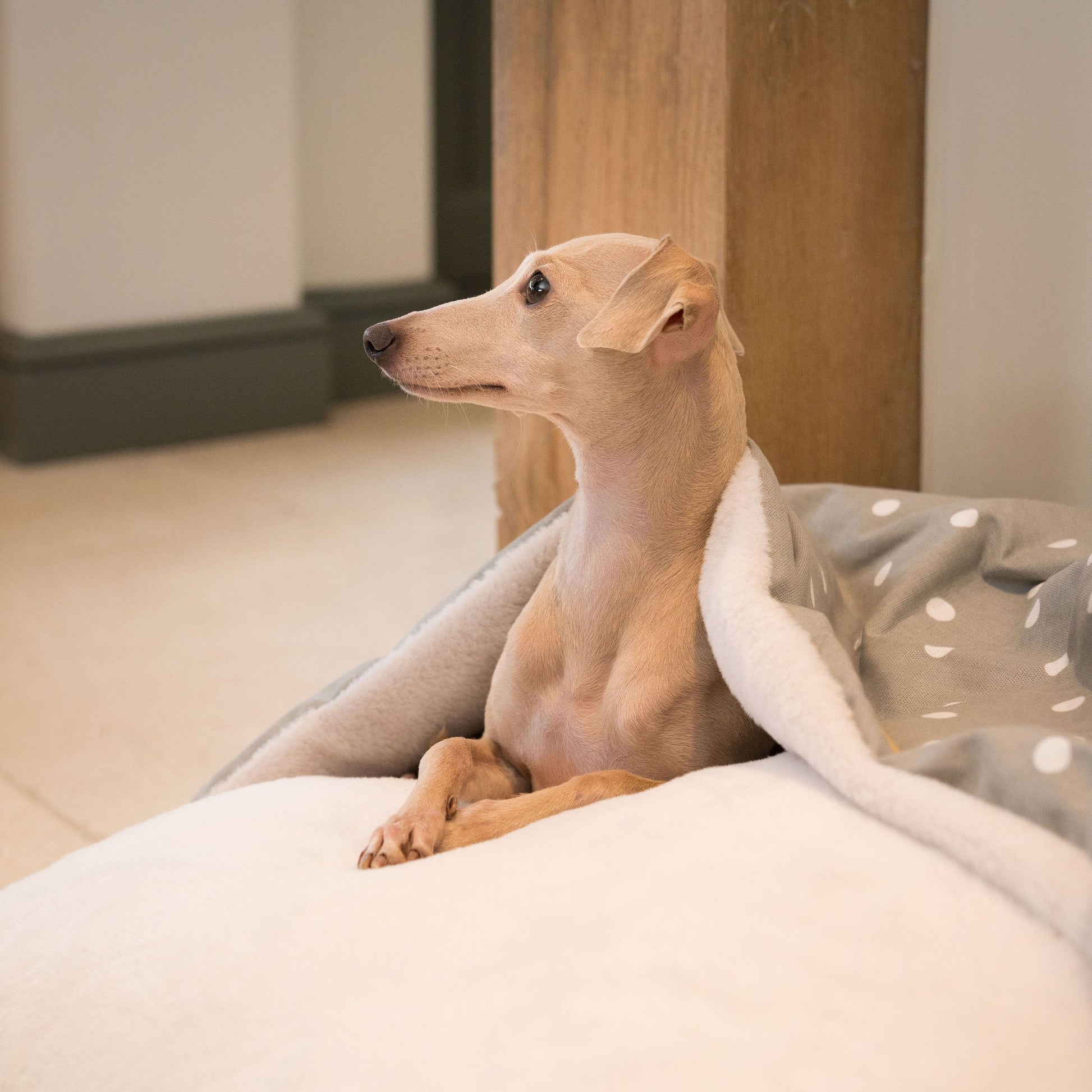 Discover The Perfect Burrow For Your Pet, Our Stunning Sleepy Burrow Dog Beds In Grey Spot, Is The Perfect Bed Choice For Your Pet, Available Now at Lords & Labradors 