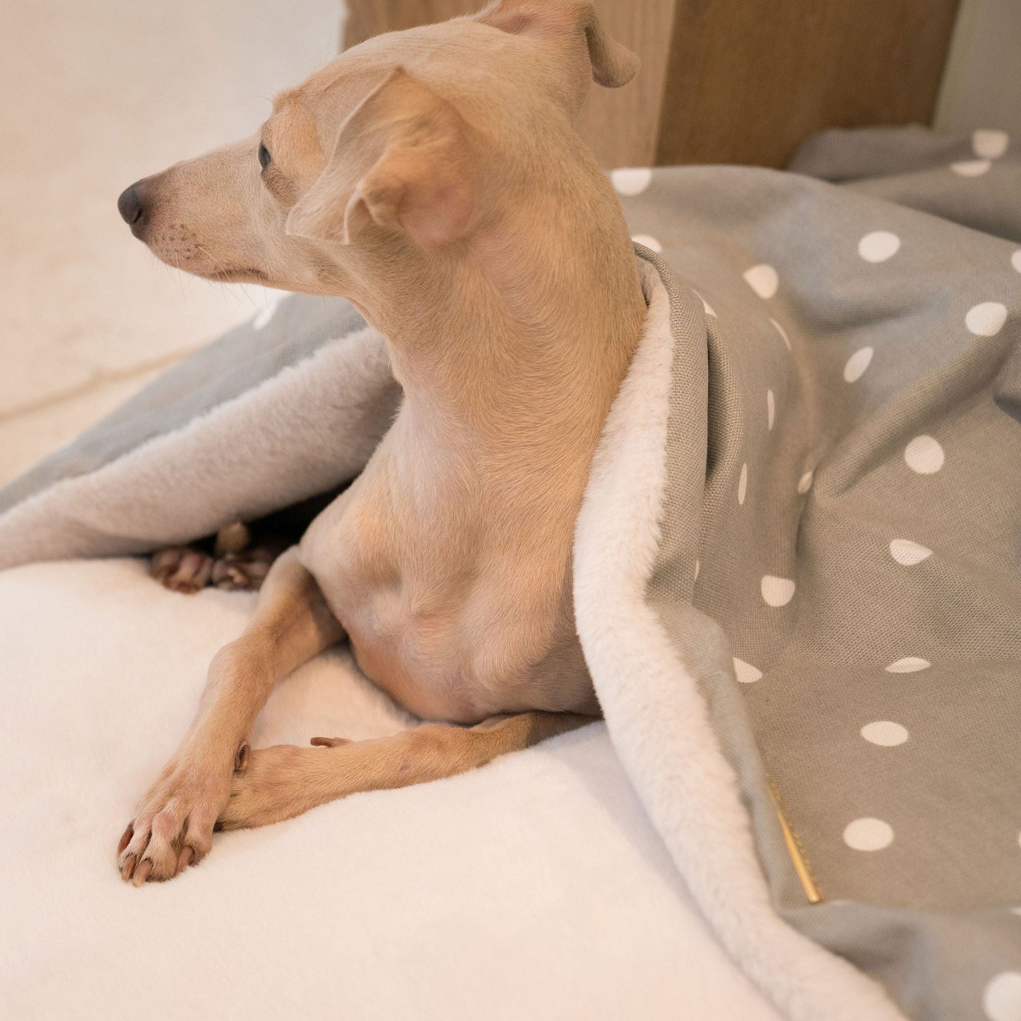 Discover The Perfect Burrow For Your Pet, Our Stunning Sleepy Burrow Dog Beds In Grey Spot, Is The Perfect Bed Choice For Your Pet, Available Now at Lords & Labradors 