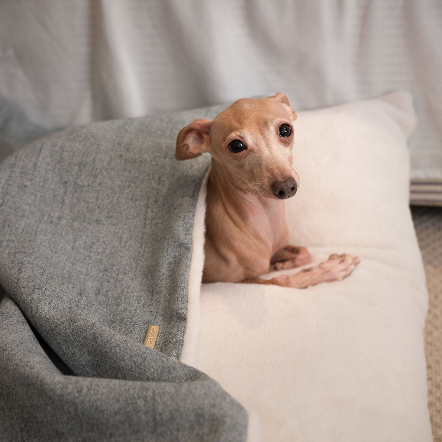 Sleepy Burrows Bed In Inchmurrin Iceberg By Lords & Labradors