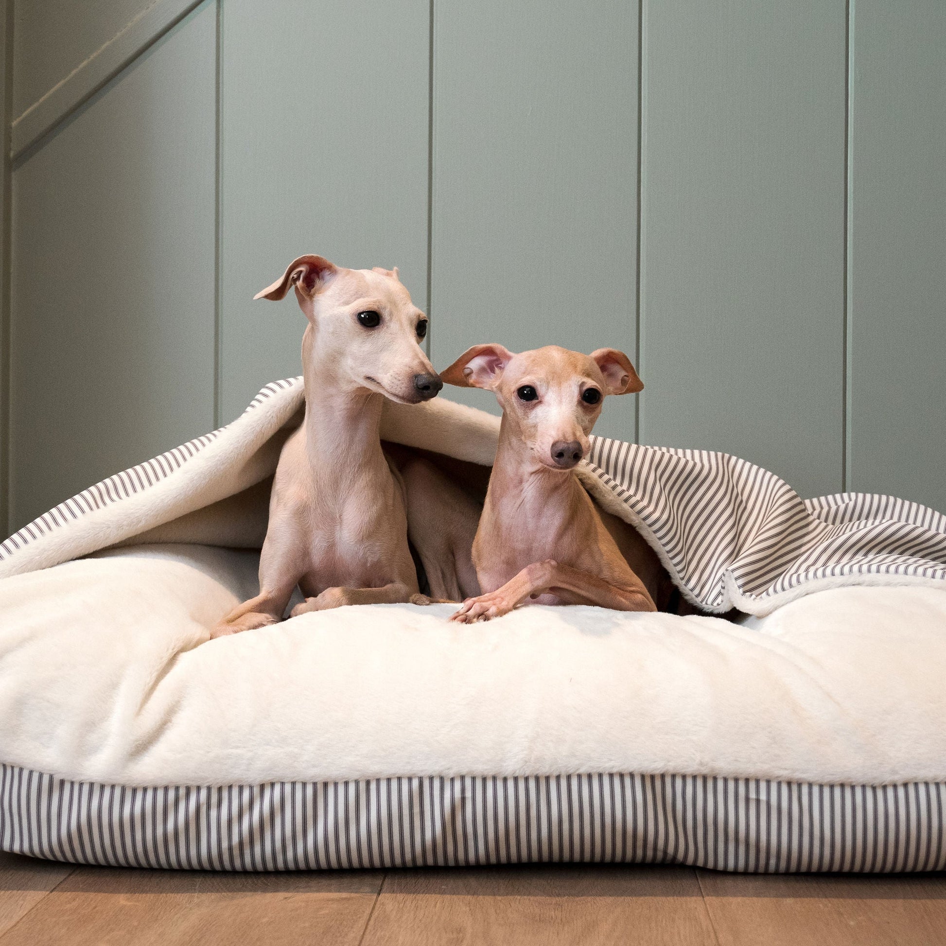 Discover The Perfect Burrow For Your Pet, Our Stunning Sleepy Burrow Dog Beds In Regency Stripe, Is The Perfect Bed Choice For Your Pet, Available Now at Lords & Labradors