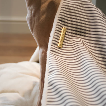 Discover The Perfect Burrow For Your Pet, Our Stunning Sleepy Burrow Dog Beds In Regency Stripe, Is The Perfect Bed Choice For Your Pet, Available Now at Lords & Labradors