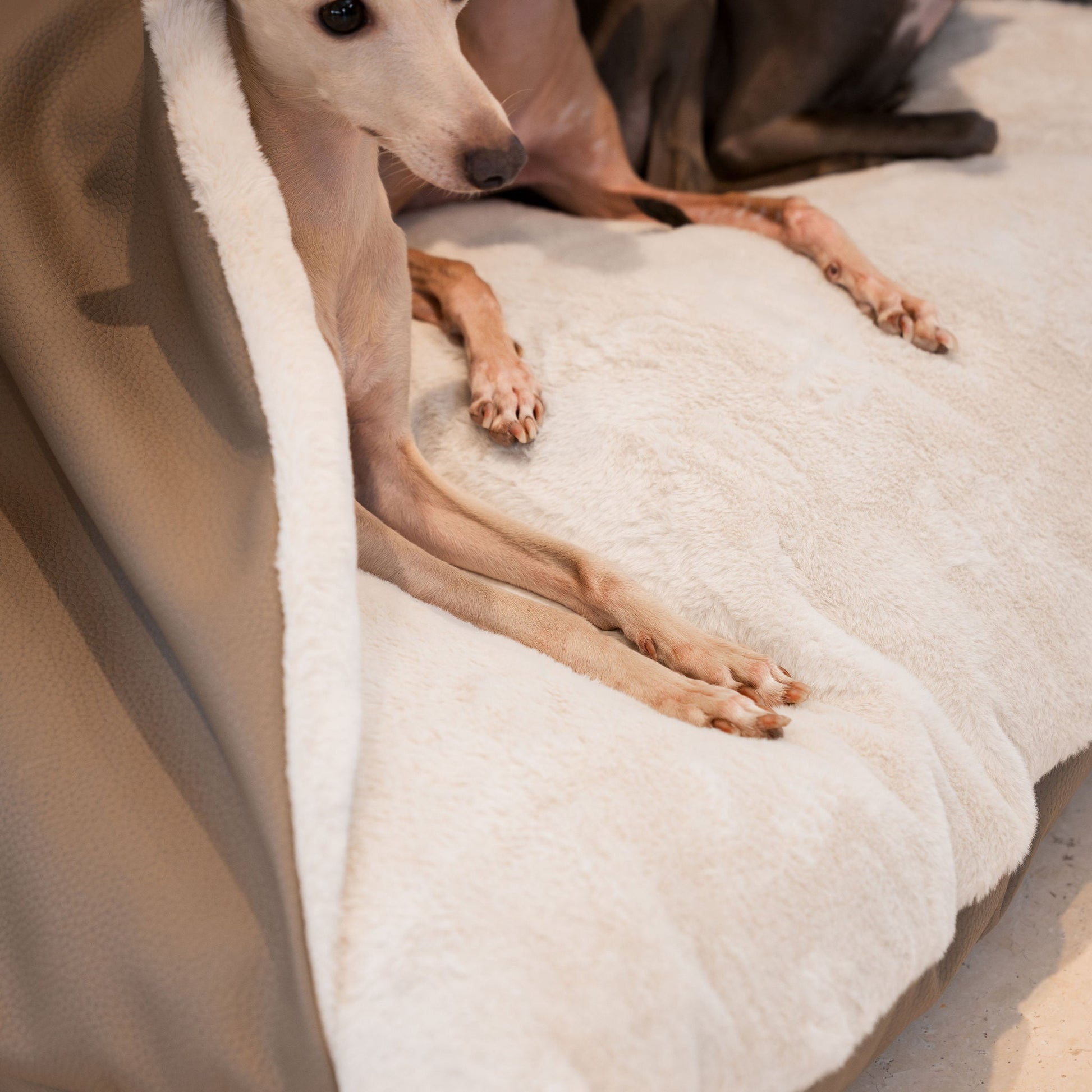 Discover The Perfect Burrow For Your Pet, Our Stunning Sleepy Burrow Dog Beds In Rhino Camel, Is The Perfect Bed Choice For Your Pet, Available Now at Lords & Labradors