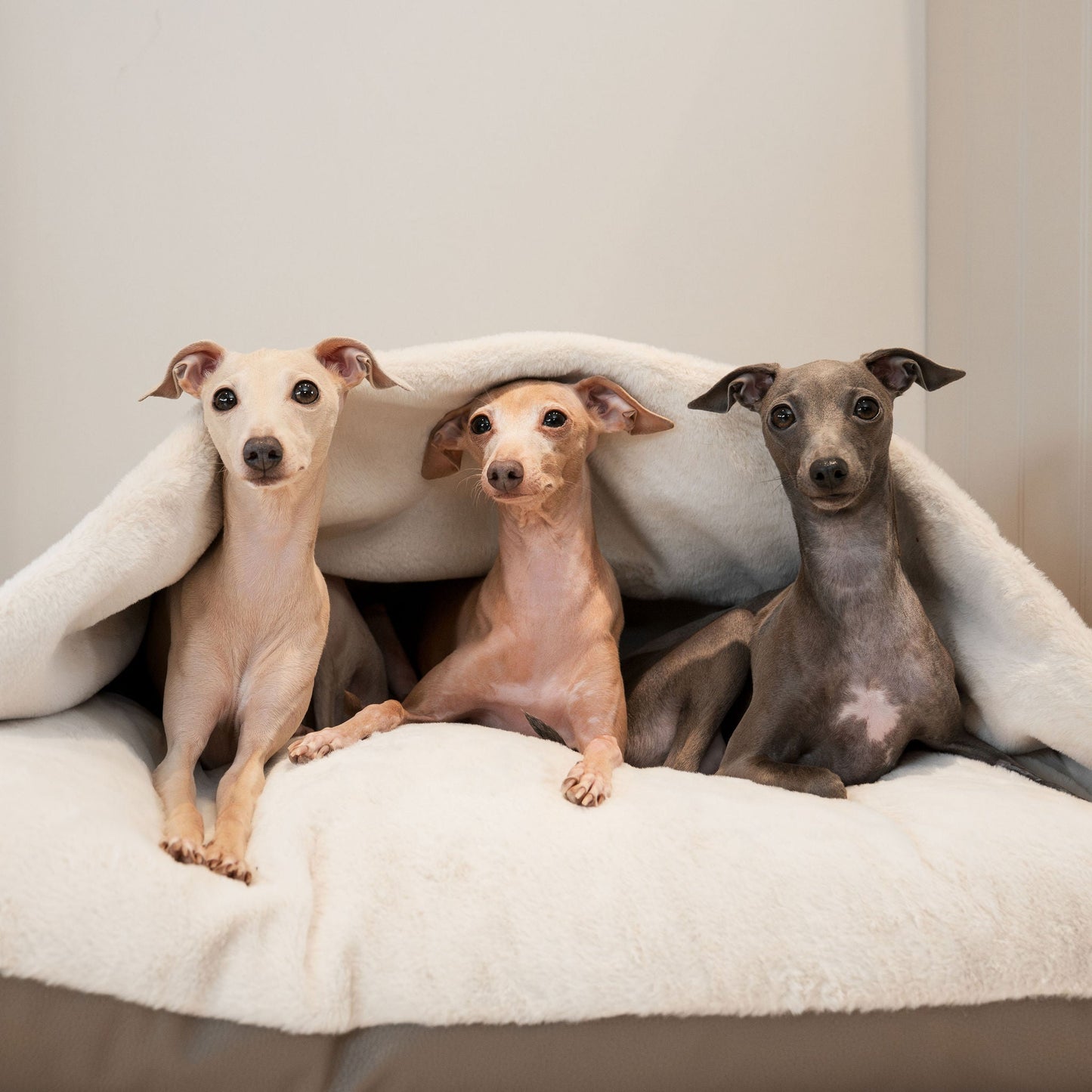 Discover The Perfect Burrow For Your Pet, Our Stunning Sleepy Burrow Dog Beds In Rhino Camel, Is The Perfect Bed Choice For Your Pet, Available Now at Lords & Labradors