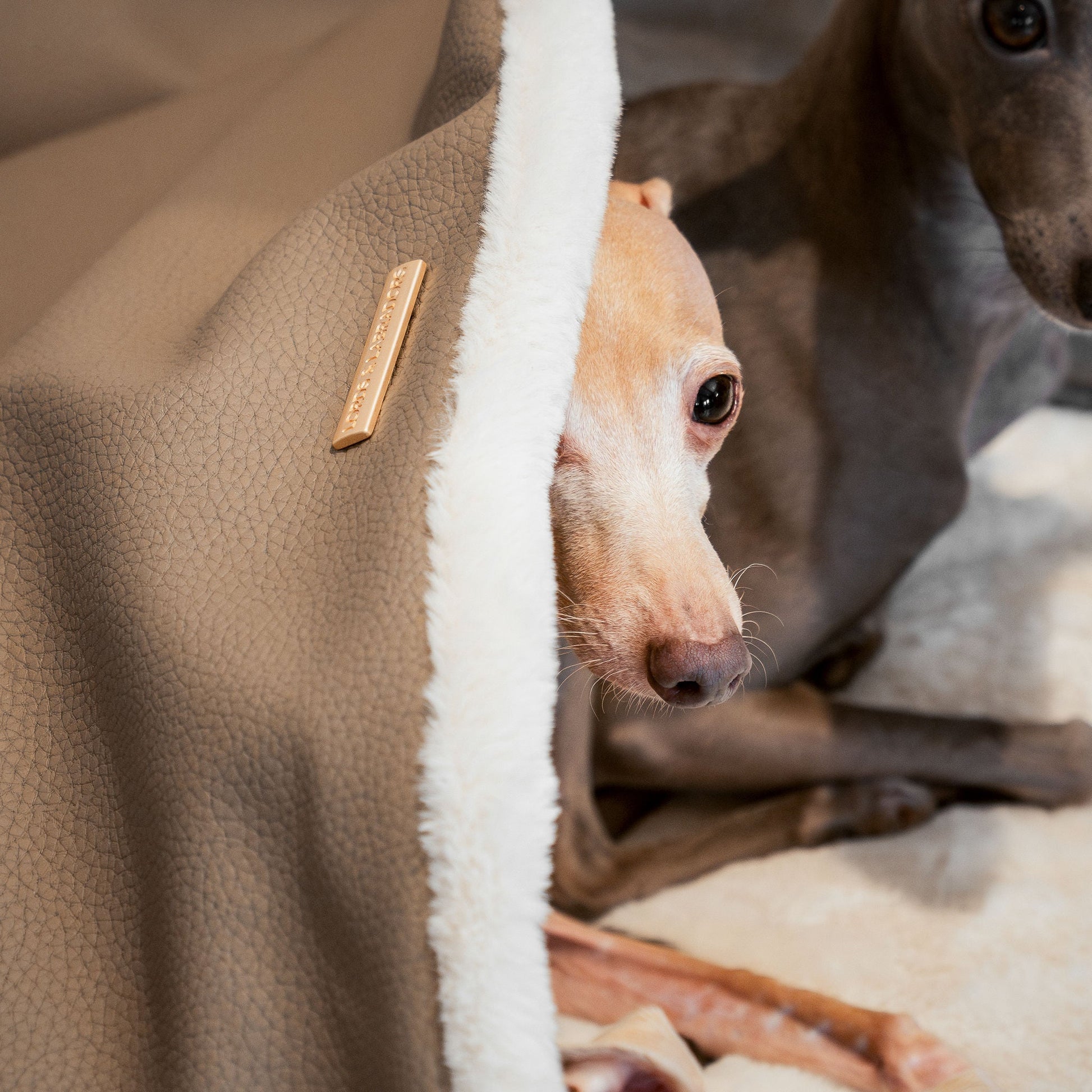 Discover The Perfect Burrow For Your Pet, Our Stunning Sleepy Burrow Dog Beds In Rhino Camel, Is The Perfect Bed Choice For Your Pet, Available Now at Lords & Labradors