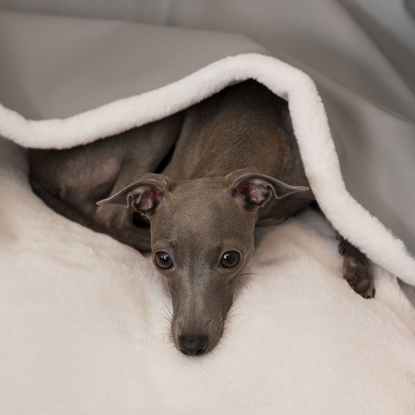 Discover The Perfect Burrow For Your Pet, Our Stunning Sleepy Burrow Dog Beds In Rhino Granite, Is The Perfect Bed Choice For Your Pet, Available Now at Lords & Labradors