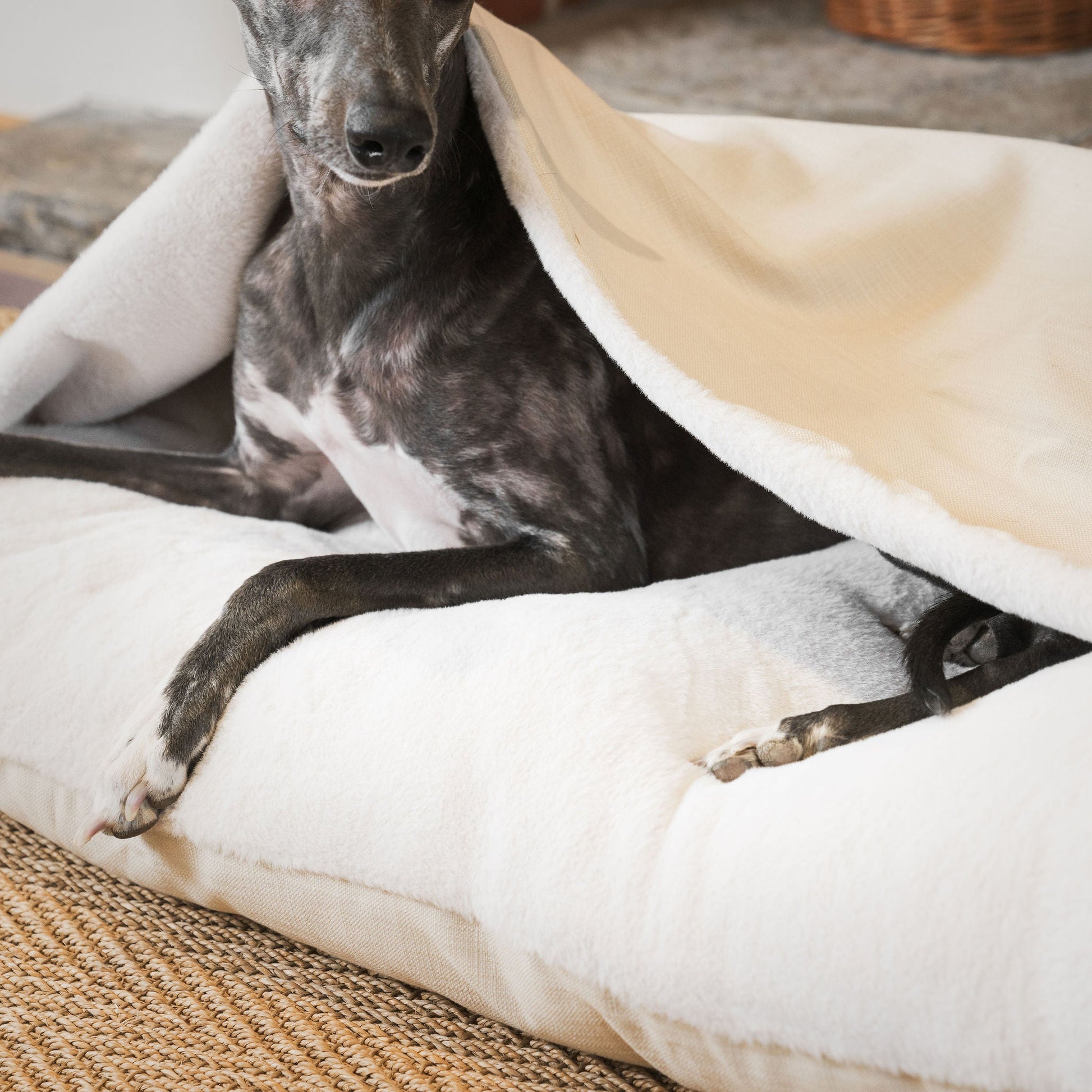 Discover The Perfect Burrow For Your Pet, Our Stunning Sleepy Burrow Dog Beds In Savanna Bone Is The Perfect Bed Choice For Your Pet, Available Now at Lords & Labradors 