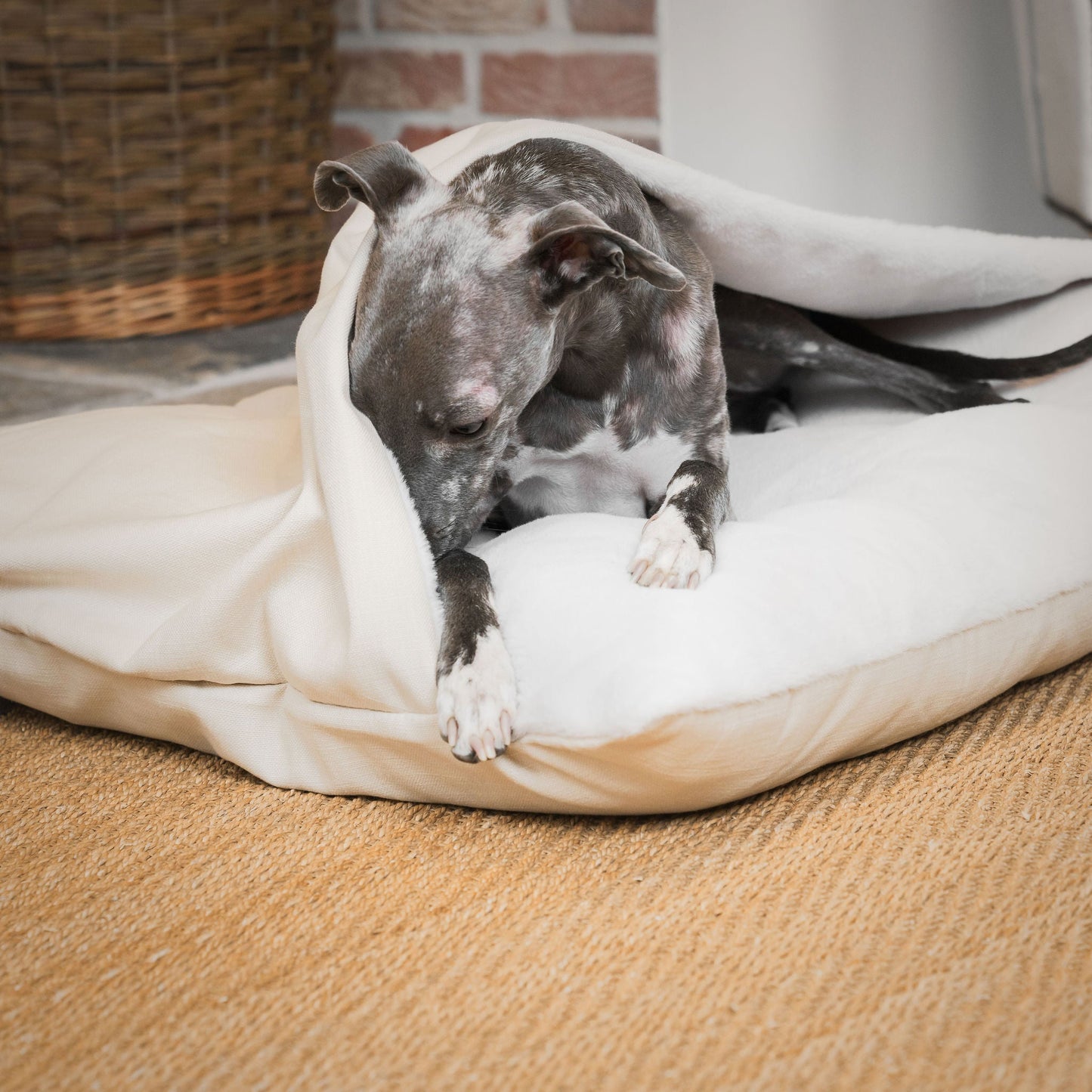 Discover The Perfect Burrow For Your Pet, Our Stunning Sleepy Burrow Dog Beds In Savanna Bone Is The Perfect Bed Choice For Your Pet, Available Now at Lords & Labradors 