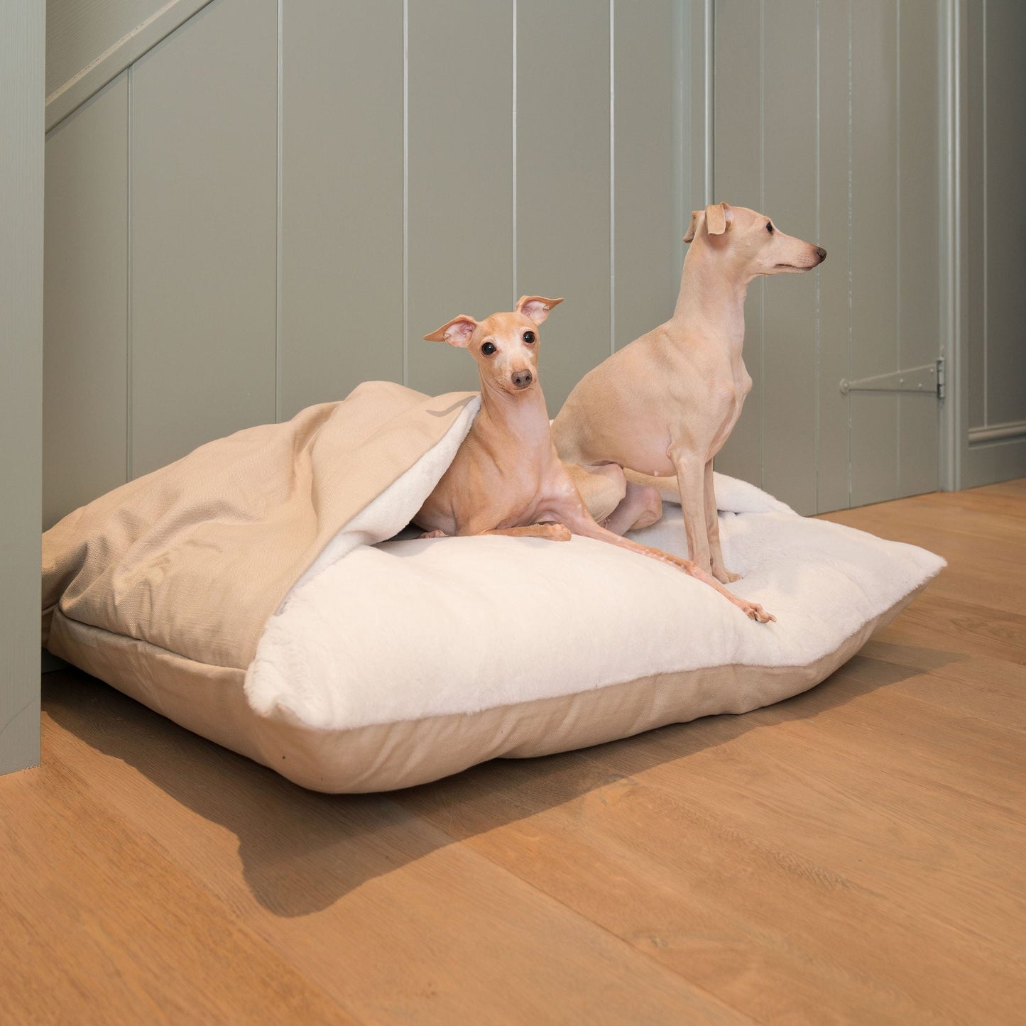 Luxury Savanna Sleepy Burrow, The Perfect bed For a Pet to Burrow. Available To Personalise In Stunning Savanna Oatmeal, Here at Lords & Labradors