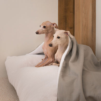 Luxury Savanna Sleepy Burrow, The Perfect bed For a Pet to Burrow. Available To Personalise In Stunning Savanna Stone, Here at Lords & Labradors