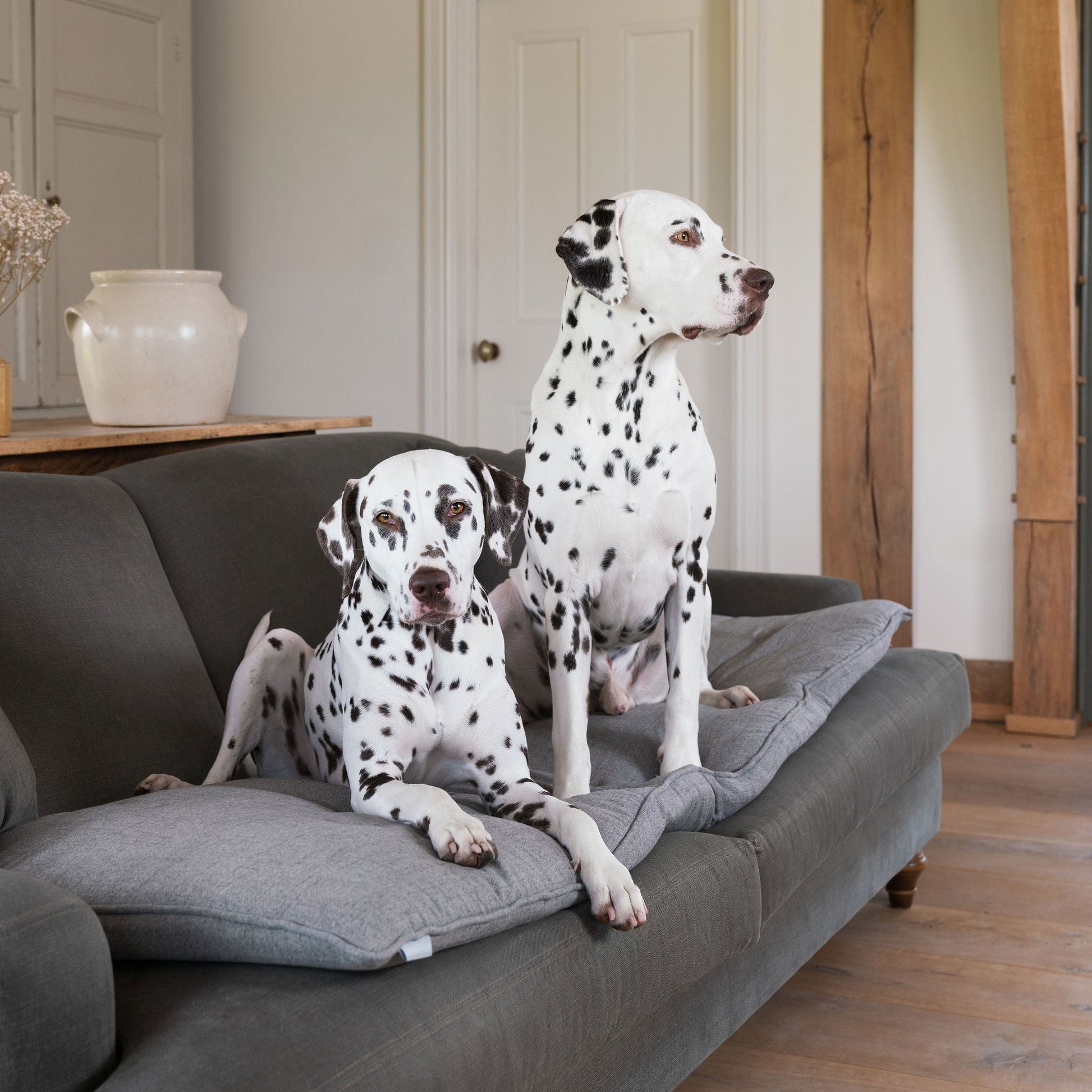 Discover Our Luxury Inchmurrin Sofa Topper, The Perfect Sofa Protector For Pets, In Stunning Grey Ground Available Now at Lords & Labradors