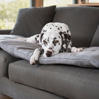 Discover Our Luxury Inchmurrin Sofa Topper, The Perfect Sofa Protector For Pets, In Stunning Grey Ground Available Now at Lords & Labradors