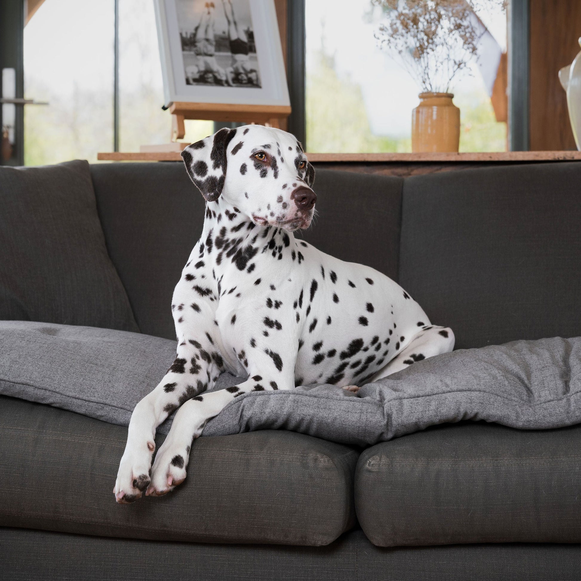 Discover Our Luxury Inchmurrin Sofa Topper, The Perfect Sofa Protector For Pets, In Stunning Grey Ground Available Now at Lords & Labradors