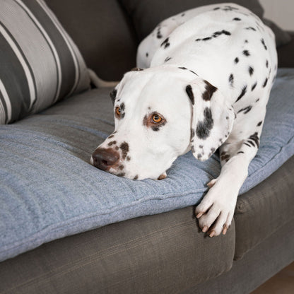 Discover Our Luxury Inchmurrin Sofa Topper, The Perfect Sofa Protector For Pets, In Stunning Grey Iceberg Available Now at Lords & Labradors