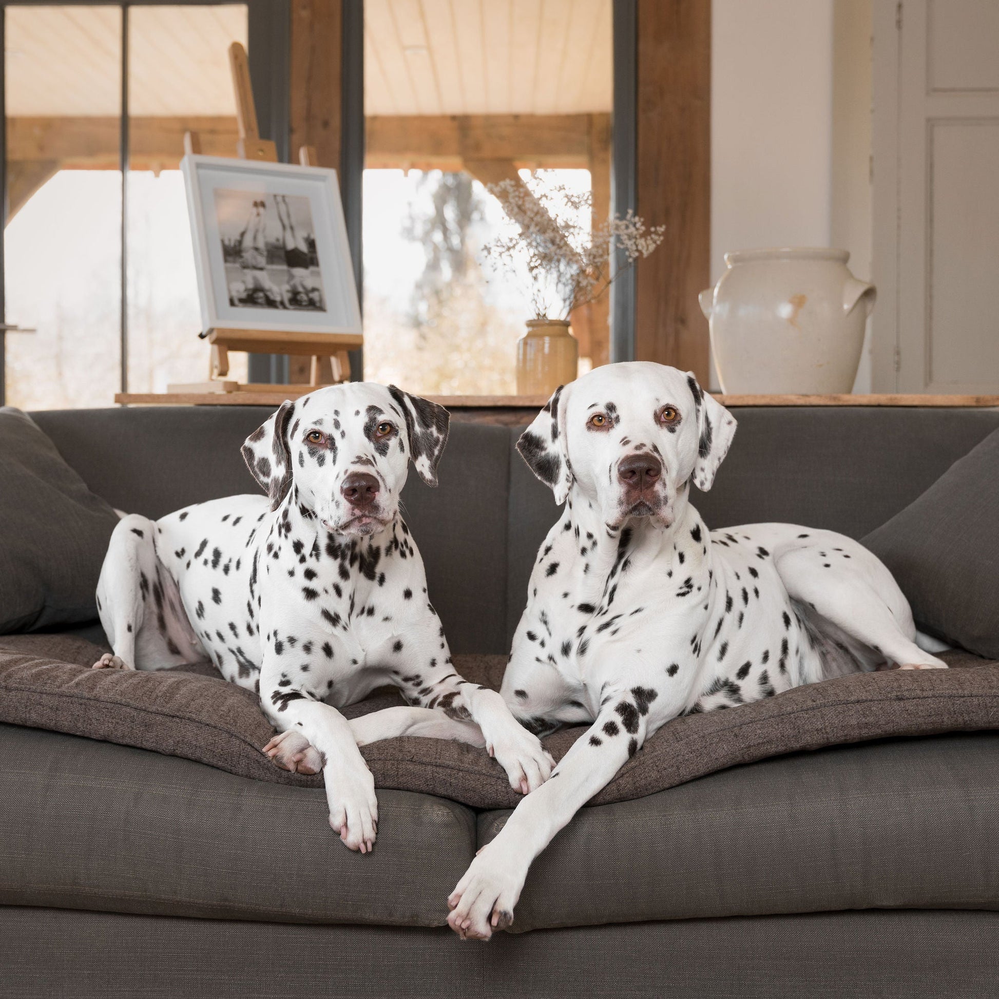 Discover Our Luxury Inchmurrin Sofa Topper, The Perfect Sofa Protector For Pets, In Stunning Brown Umber Available Now at Lords & Labradors