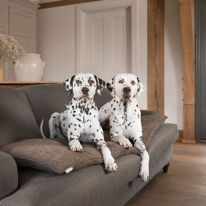 Discover Our Luxury Inchmurrin Sofa Topper, The Perfect Sofa Protector For Pets, In Stunning Brown Umber Available Now at Lords & Labradors