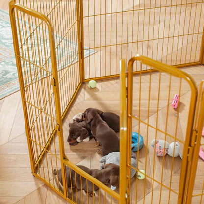 Ensure The Ultimate Puppy Safety with Our Heavy Duty 80cm High Gold Metal Play Pen, Crafted to Take Your Pet Right Through Maturity! Powder Coated to Be Extra Hardwearing! 6 panels that are 80cm high and attachments to connect to any crate. The modular system allows you to change the puppy pen shape with multiple layouts! Available To Now at Lords & Labradors 