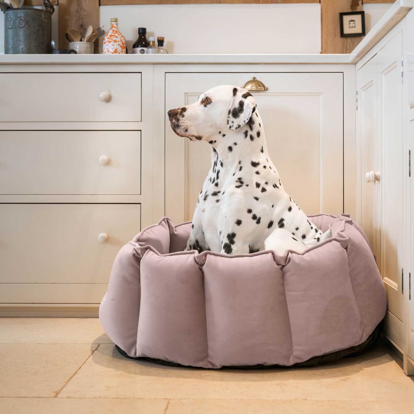 High Wall Bed For Dogs in Blossom Velvet By Lords & Labradors