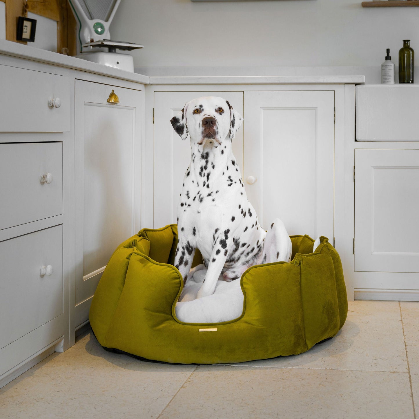 High Wall Bed For Dogs in Olive Velvet By Lords & Labradors