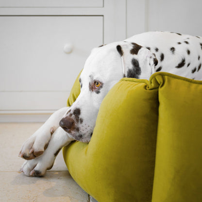 High Wall Bed For Dogs in Olive Velvet By Lords & Labradors