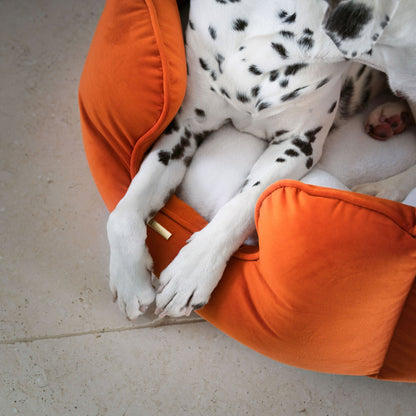 High Wall Bed For Dogs in Pumpkin Velvet By Lords & Labradors