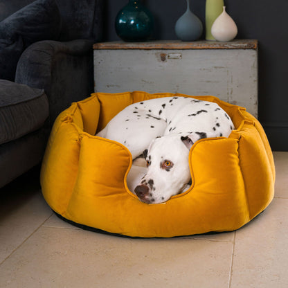 High Wall Bed For Dogs in Saffron Velvet By Lords & Labradors