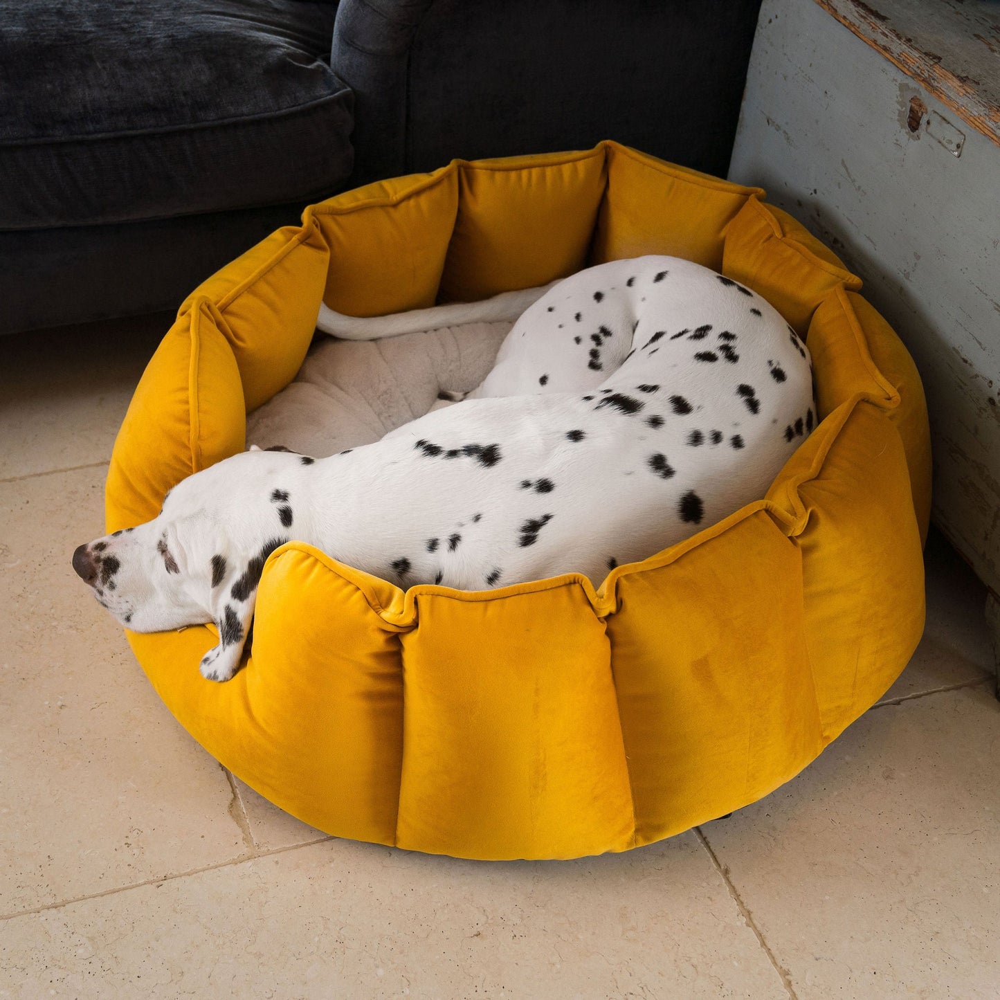 High Wall Bed For Dogs in Saffron Velvet By Lords & Labradors