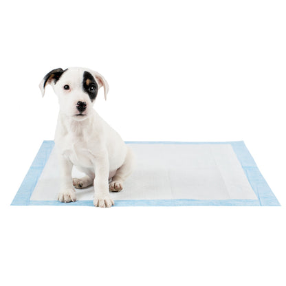 Discover Puppy Training Pads, 50 pads per pack. Featuring Super absorbent with 5 layers absorbency, and Makes house training easy and protects floors. Reducing smelly odours, Perfect for training puppies, travelling, ill or confined dogs. now available at Lords and Labradors