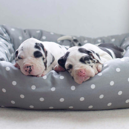 Luxury, Handmade Box Bed For Dogs, A Stunning Grey Spot Dog Bed Perfect For Your Pets Nap Time! Available at Lords & Labradors