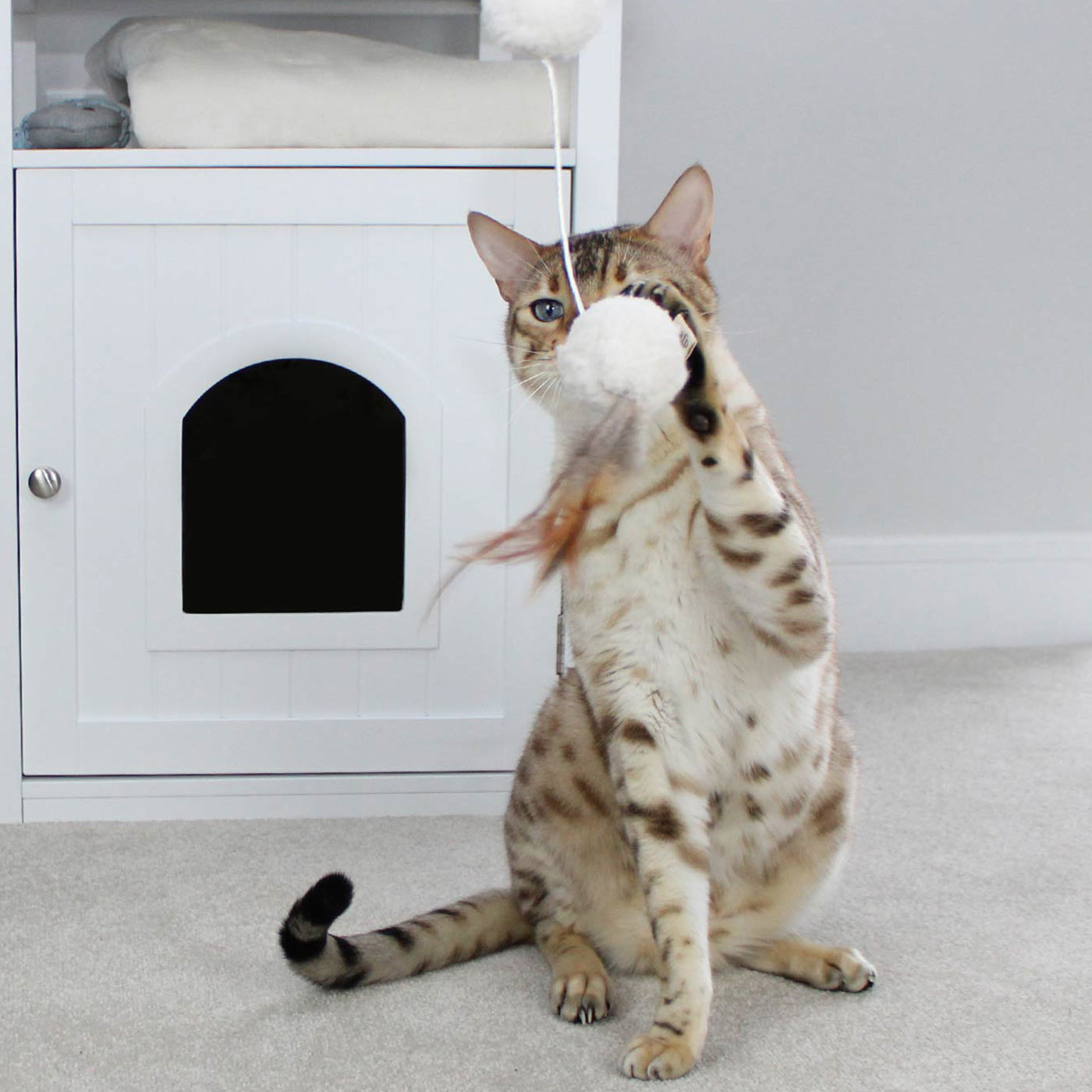 Discover The Perfect Multi-Functional Cat Washroom, Featuring Hinged Door for a Discreet Cat Loo. Suitable for All Cat Breeds! Made From Durable Wood to Ensure a Stylish Finish That Suits Any Home Decor! Includes a Complimentary Litter Tray. Available In Grey & White Now at Lords & Labradors    