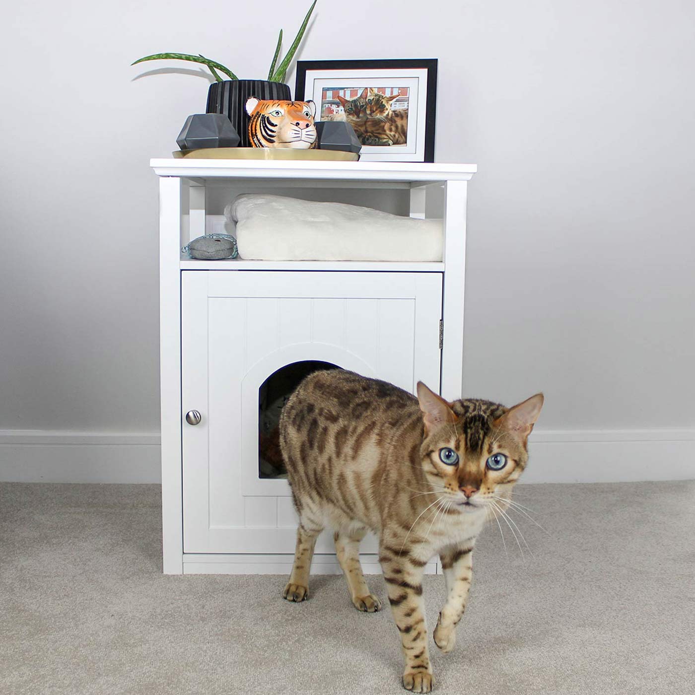 Discover The Perfect Multi-Functional Cat Washroom, Featuring Hinged Door for a Discreet Cat Loo. Suitable for All Cat Breeds! Made From Durable Wood to Ensure a Stylish Finish That Suits Any Home Decor! Includes a Complimentary Litter Tray. Available In Grey & White Now at Lords & Labradors    