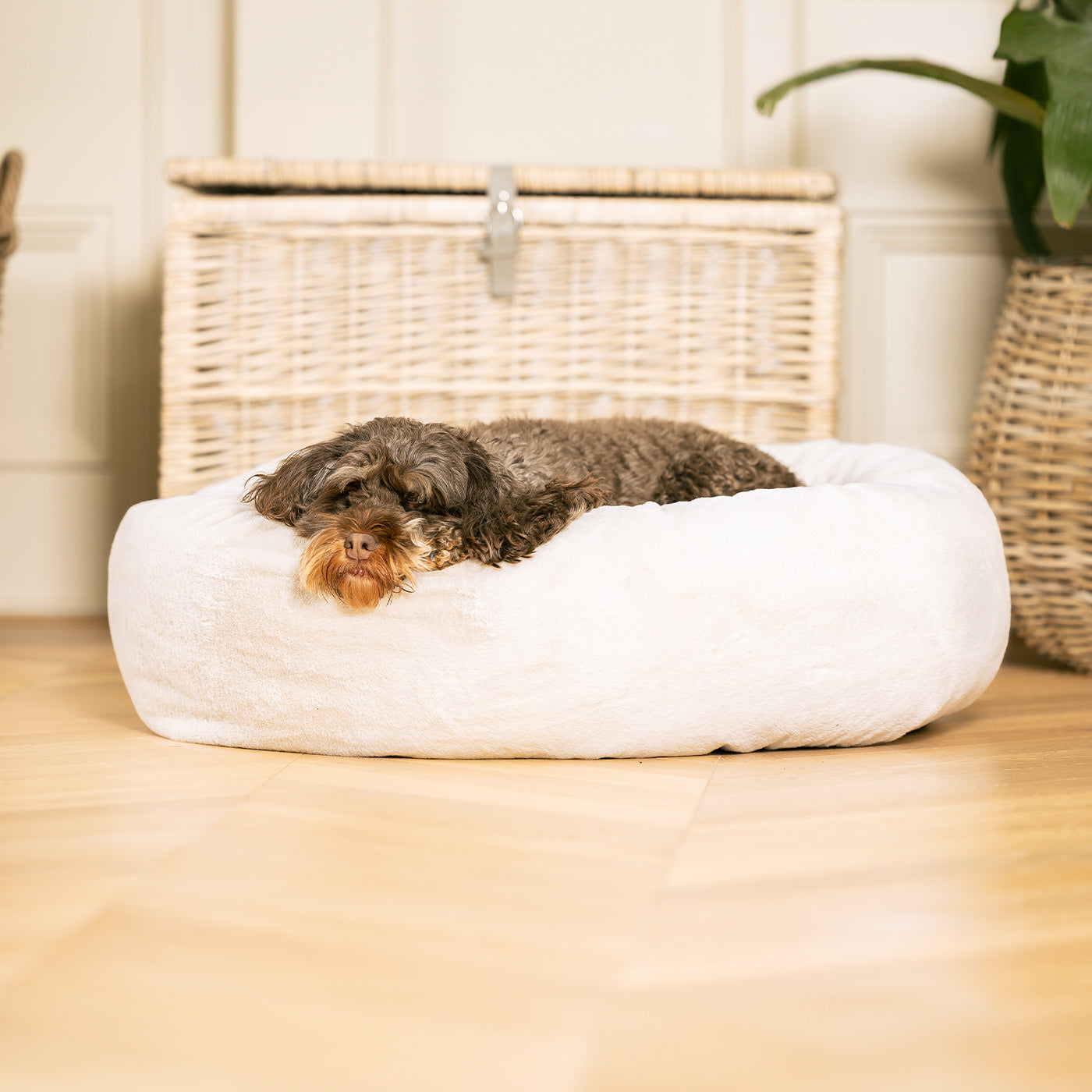 Luxury Donut Anti-Anxiety Dog Bed, In Stunning Cream Faux Fur, Perfect For Your Pets Nap Time! Available Now at Lords & Labradors 