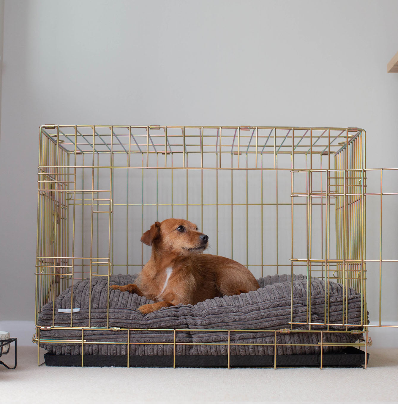 Luxury Dog Crate Cushion, Essentials Plush Cushion in Dark Grey! The Perfect Dog Crate Accessory, Available To Personalise Now at Lords & Labradors