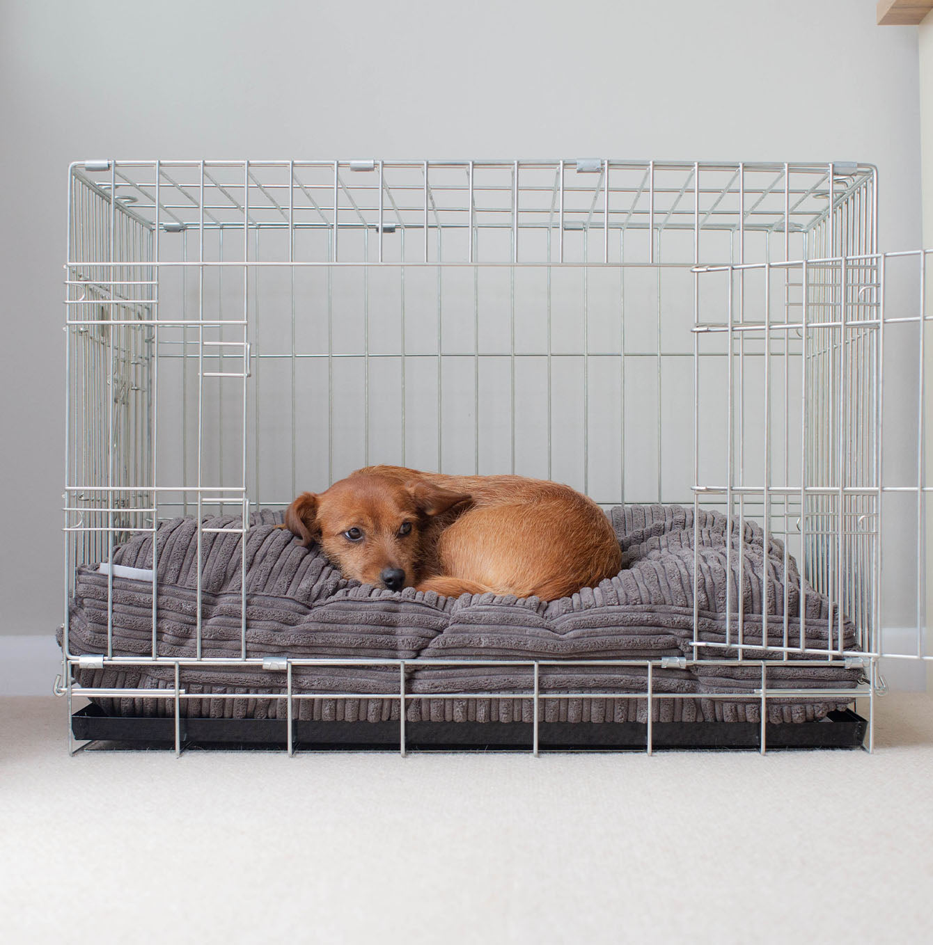 Luxury Dog Crate Cushion, Essentials Plush Cushion in Dark Grey! The Perfect Dog Crate Accessory, Available To Personalise Now at Lords & Labradors