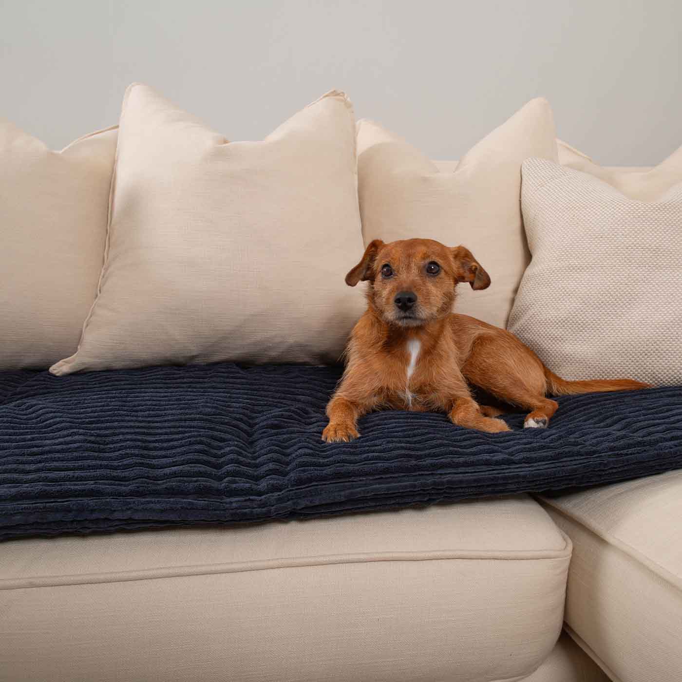 Sofa Topper in Navy Essentials Plush by Lords & Labradors