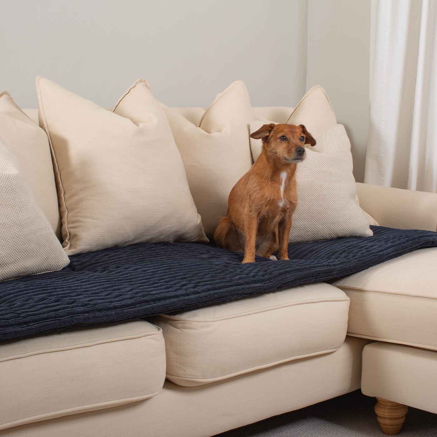 Sofa Topper in Navy Essentials Plush by Lords & Labradors