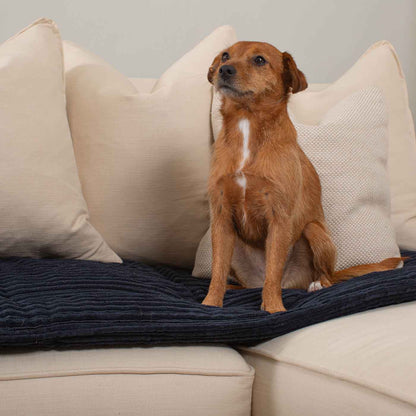 Sofa Topper in Navy Essentials Plush by Lords & Labradors