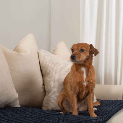 Sofa Topper in Navy Essentials Plush by Lords & Labradors