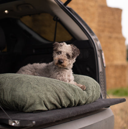 Introducing the ultimate bamboo dog drying cushion cover in beautiful fir green, made from luxurious bamboo to aid sensitive skin featuring elasticated hem for a snug fit with super absorbent material for easy pet drying! Available now at Lords & Labradors In three sizes and four colours to suit all breeds!    