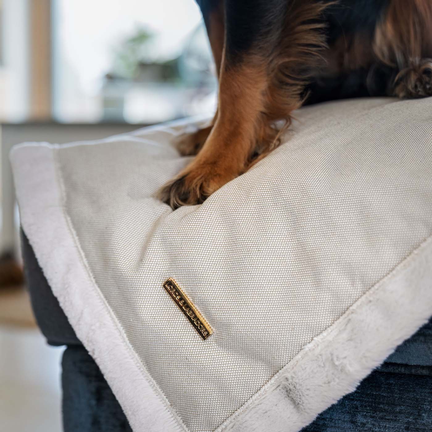 Present your furry friend with our luxuriously thick, plush blanket for your pet. Featuring a reverse side with hardwearing woven fabric handmade in Italy for the perfect high-quality pet blanket! Essentials Twill Blanket In Linen, Available now at Lords & Labradors    