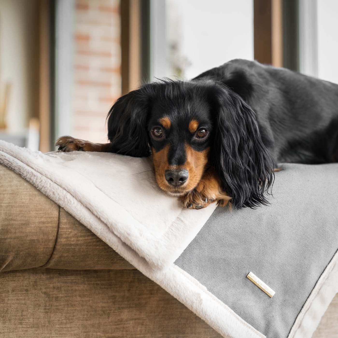 Present your furry friend with our luxuriously thick, plush blanket for your pet. Featuring a reverse side with hardwearing woven fabric handmade in Italy for the perfect high-quality pet blanket! Essentials Twill Blanket In Slate, Available now at Lords & Labradors    