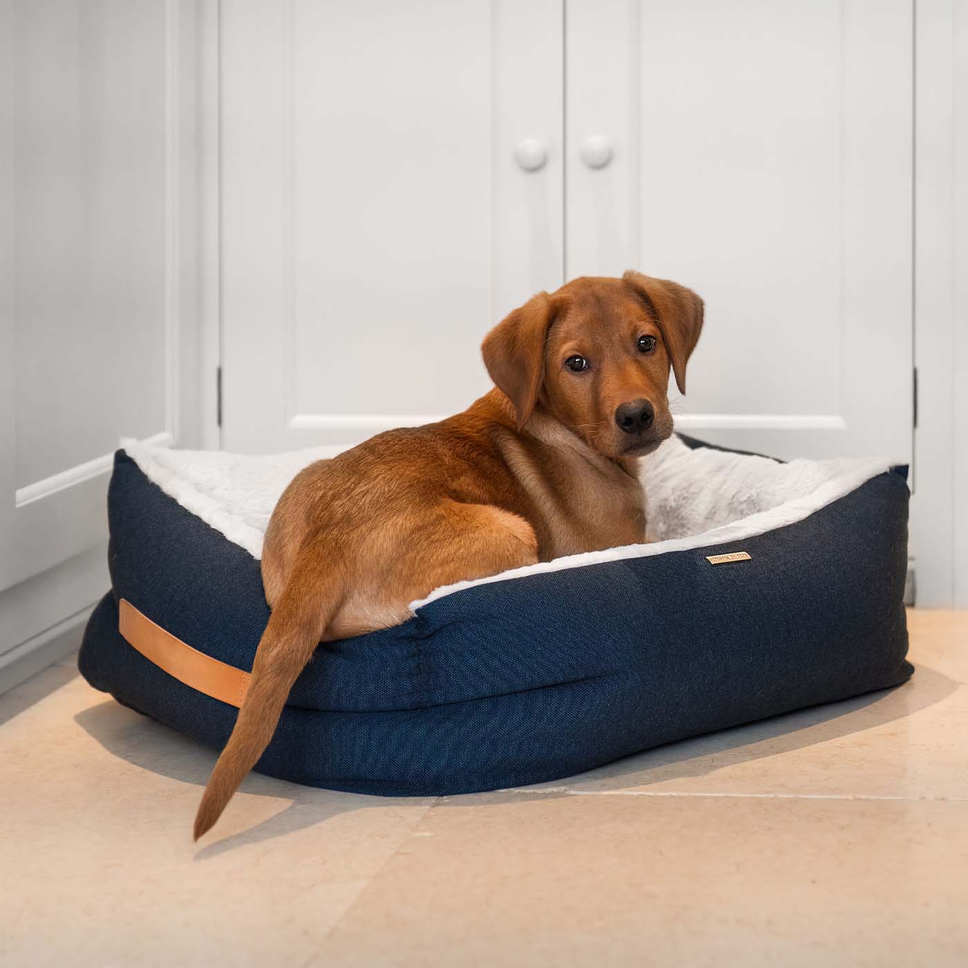 Discover This Luxurious Box Bed For Dogs, Made Using Beautiful Twill Fabric To Craft The Perfect Dog Box Bed! In Stunning Navy Denim, Available Now at Lords & Labradors    