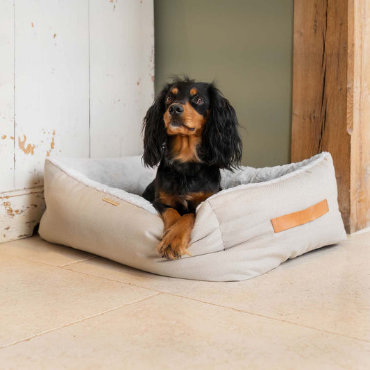 Discover This Luxurious Box Bed For Dogs, Made Using Beautiful Twill Fabric To Craft The Perfect Dog Box Bed! In Stunning Cream Linen, Available Now at Lords & Labradors    