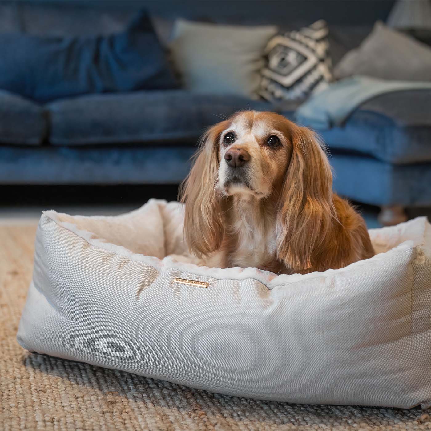 Discover This Luxurious Box Bed For Dogs, Made Using Beautiful Twill Fabric To Craft The Perfect Dog Box Bed! In Stunning Cream Linen, Available Now at Lords & Labradors    