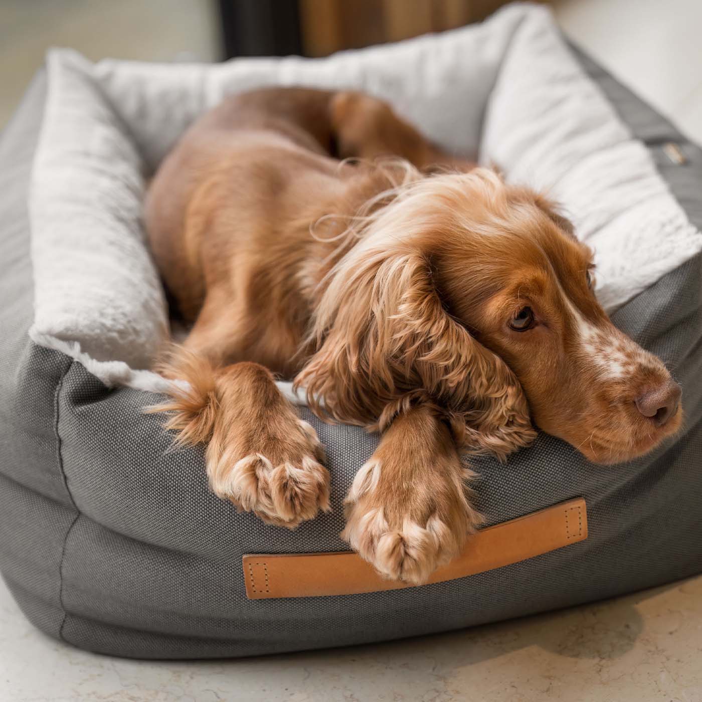 Discover This Luxurious Box Bed For Dogs, Made Using Beautiful Twill Fabric To Craft The Perfect Dog Box Bed! In Stunning Grey Slate, Available Now at Lords & Labradors    