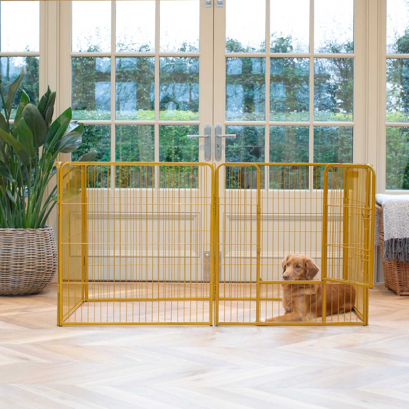 Ensure The Ultimate Puppy Safety with Our Heavy Duty 80cm High Gold Metal Play Pen, Crafted to Take Your Pet Right Through Maturity! Powder Coated to Be Extra Hardwearing! 6 panels that are 80cm high and attachments to connect to any crate. The modular system allows you to change the puppy pen shape with multiple layouts! Available To Now at Lords & Labradors 