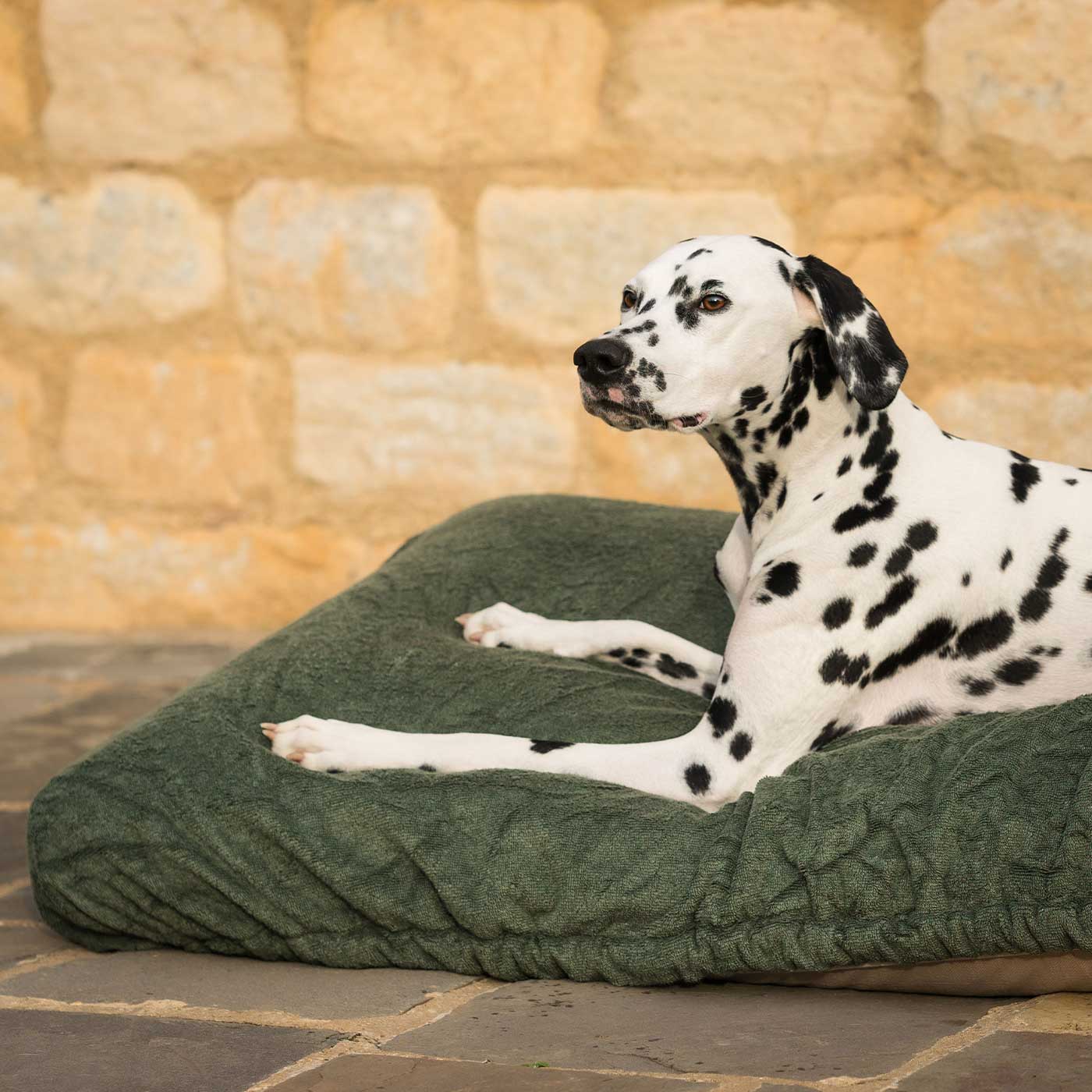 Introducing the ultimate bamboo dog drying cushion cover in beautiful fir green, made from luxurious bamboo to aid sensitive skin featuring elasticated hem for a snug fit with super absorbent material for easy pet drying! Available now at Lords & Labradors In three sizes and four colours to suit all breeds!    