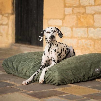 Introducing the ultimate bamboo dog drying cushion cover in beautiful fir green, made from luxurious bamboo to aid sensitive skin featuring elasticated hem for a snug fit with super absorbent material for easy pet drying! Available now at Lords & Labradors In three sizes and four colours to suit all breeds!    