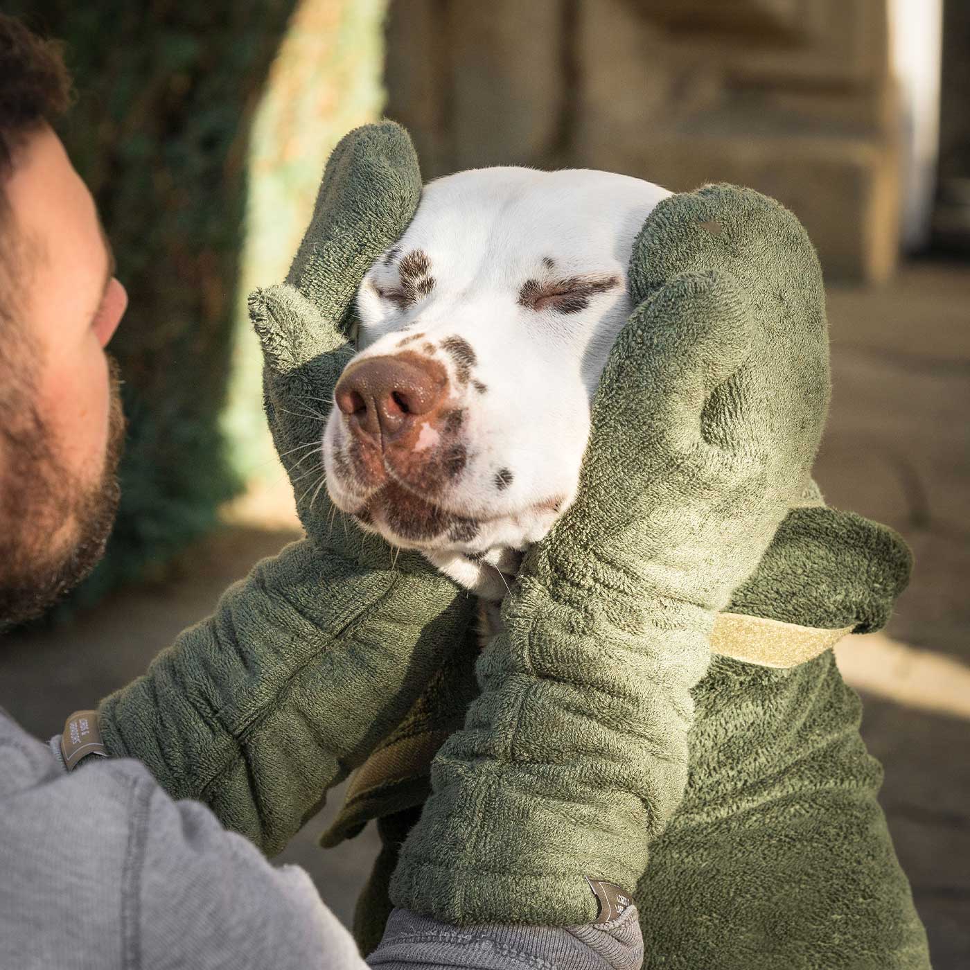 Introducing the ultimate bamboo dog drying mitts in beautiful fir green, made from luxurious bamboo to aid sensitive skin featuring universal size to fit all with super absorbent material for easy pet drying! The perfect dog drying gloves, available now at Lords & Labradors In four colours!    