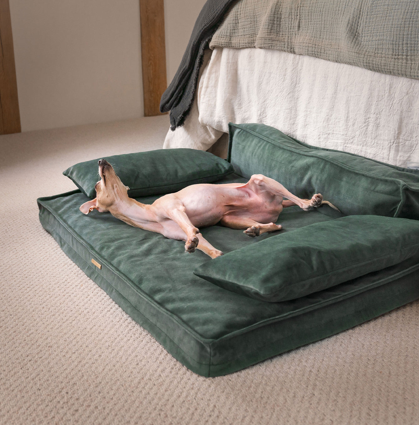 Execu-Sofa in Olive by Lords & Labradors